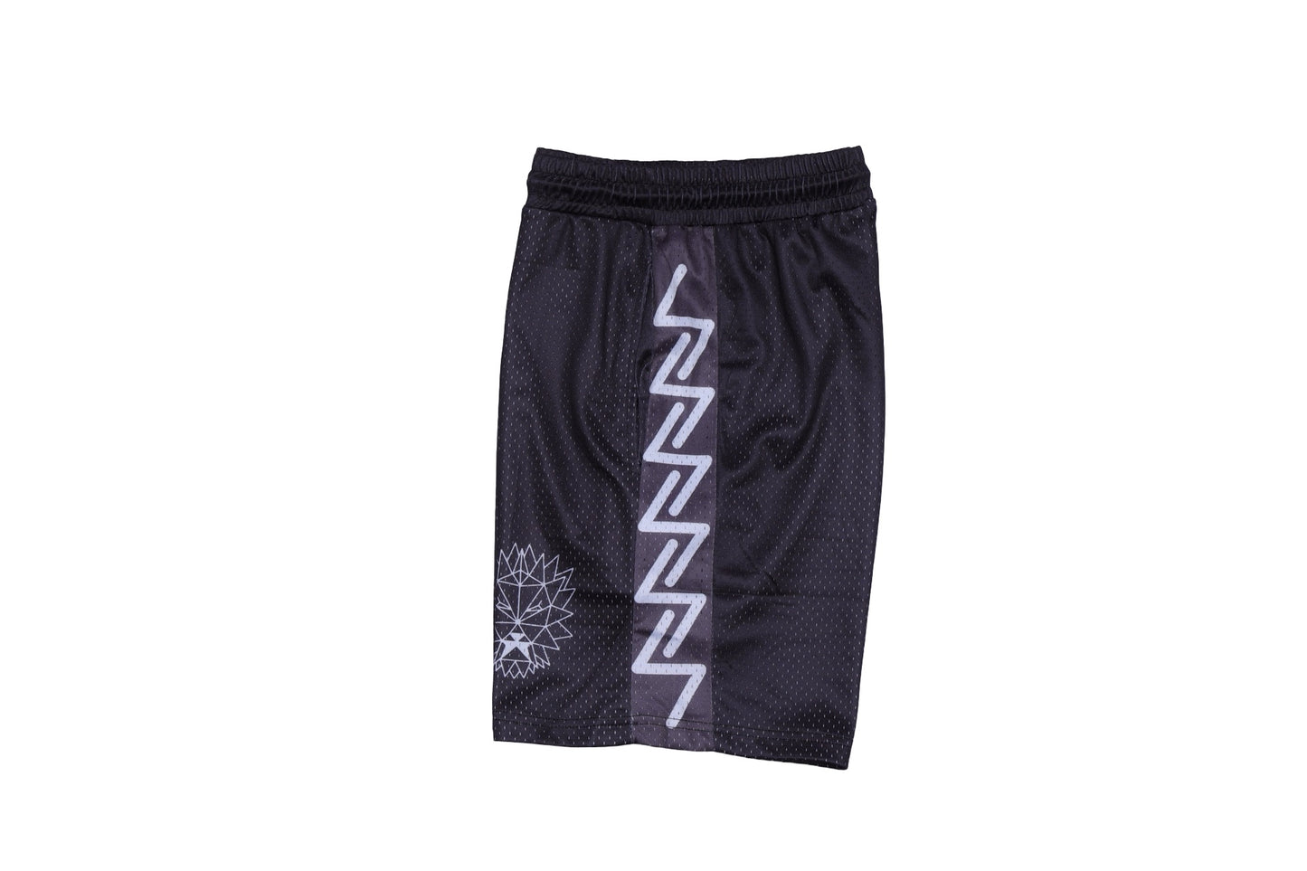 ZCR Shorts