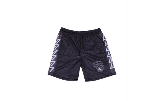 ZCR Shorts